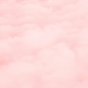 A serene and soft pastel pink cloud background perfect for aesthetics and design.